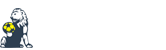 Latest Sports News in Africa