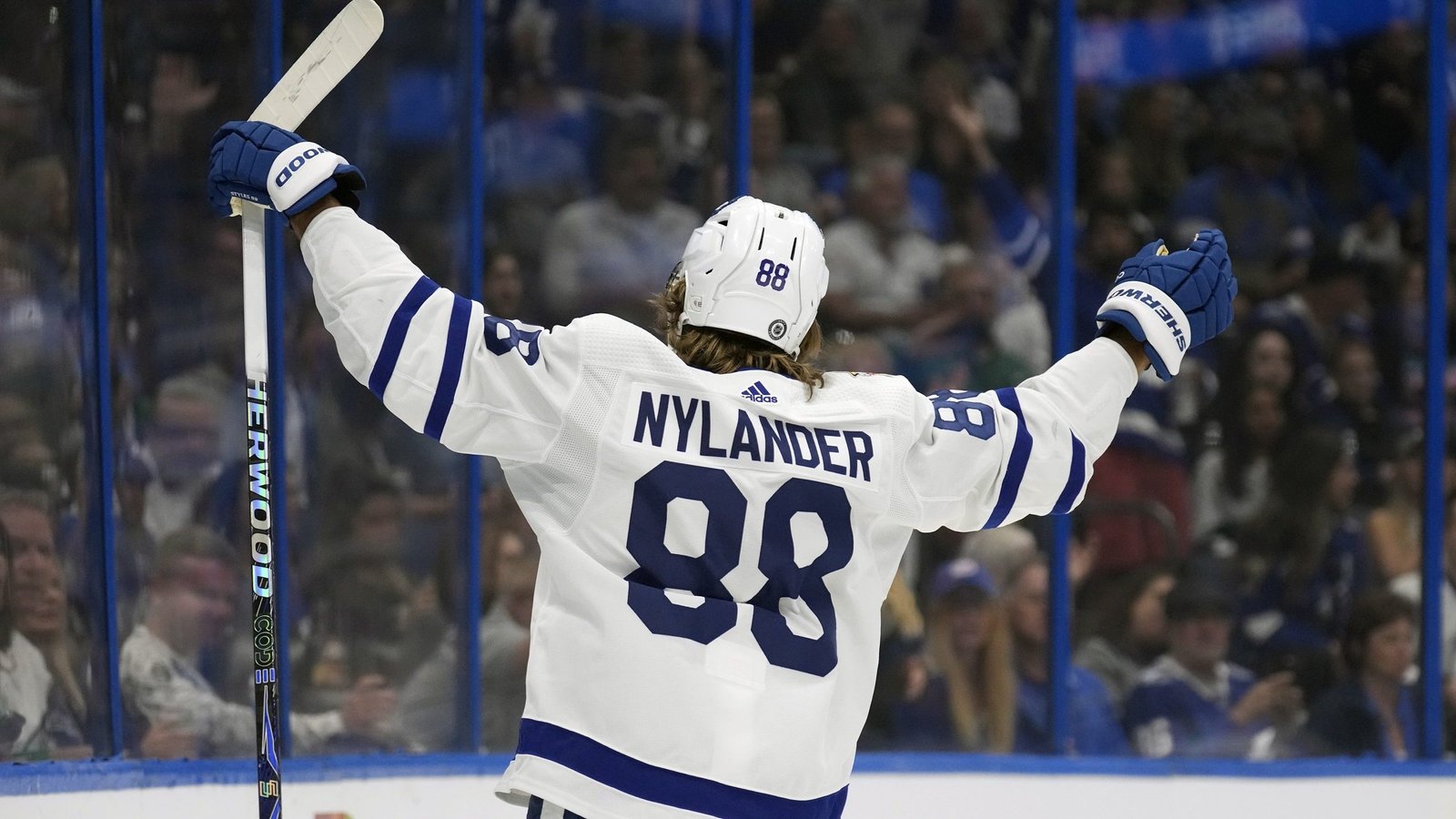 William Nylander biography 