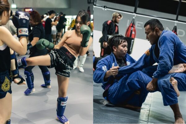 Differences between boxing and MMA