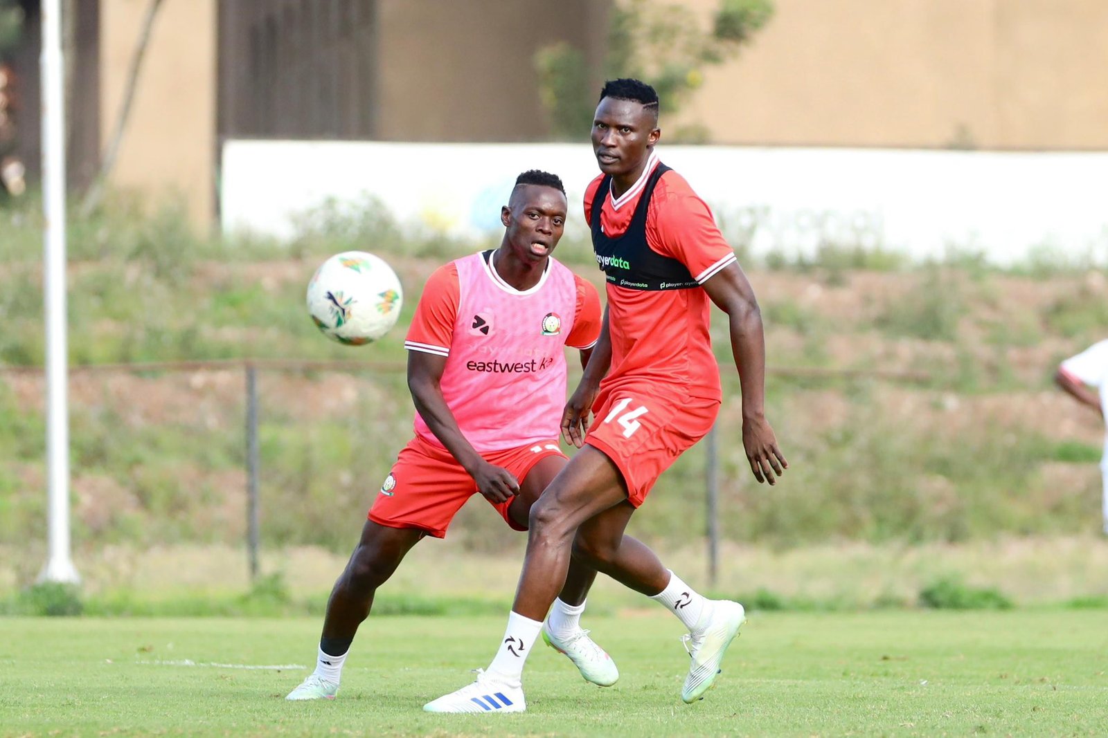 harambee stars vs gambia
