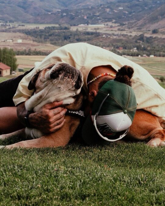 lewis hamilton dog 