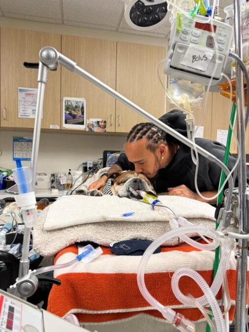 lewis hamilton dog 