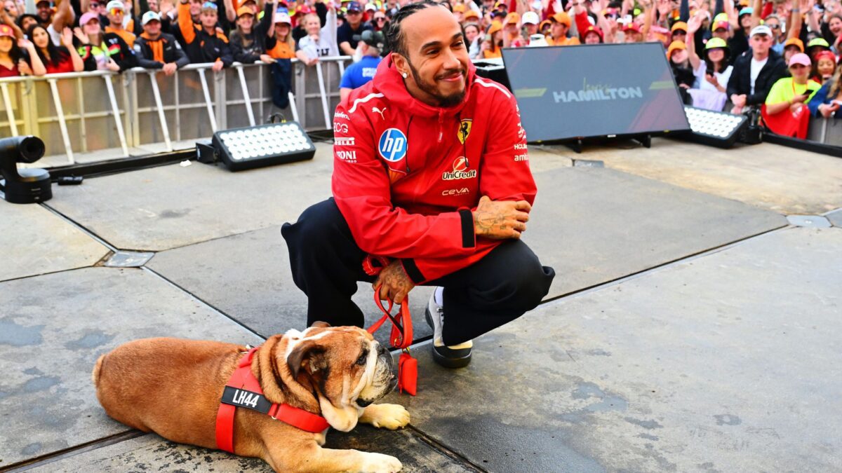lewis hamilton dog