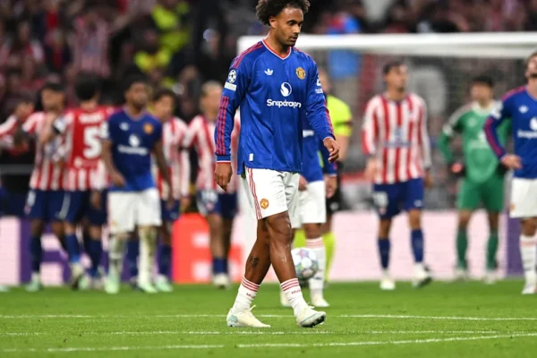 Joshua Zirkzee Champions League night