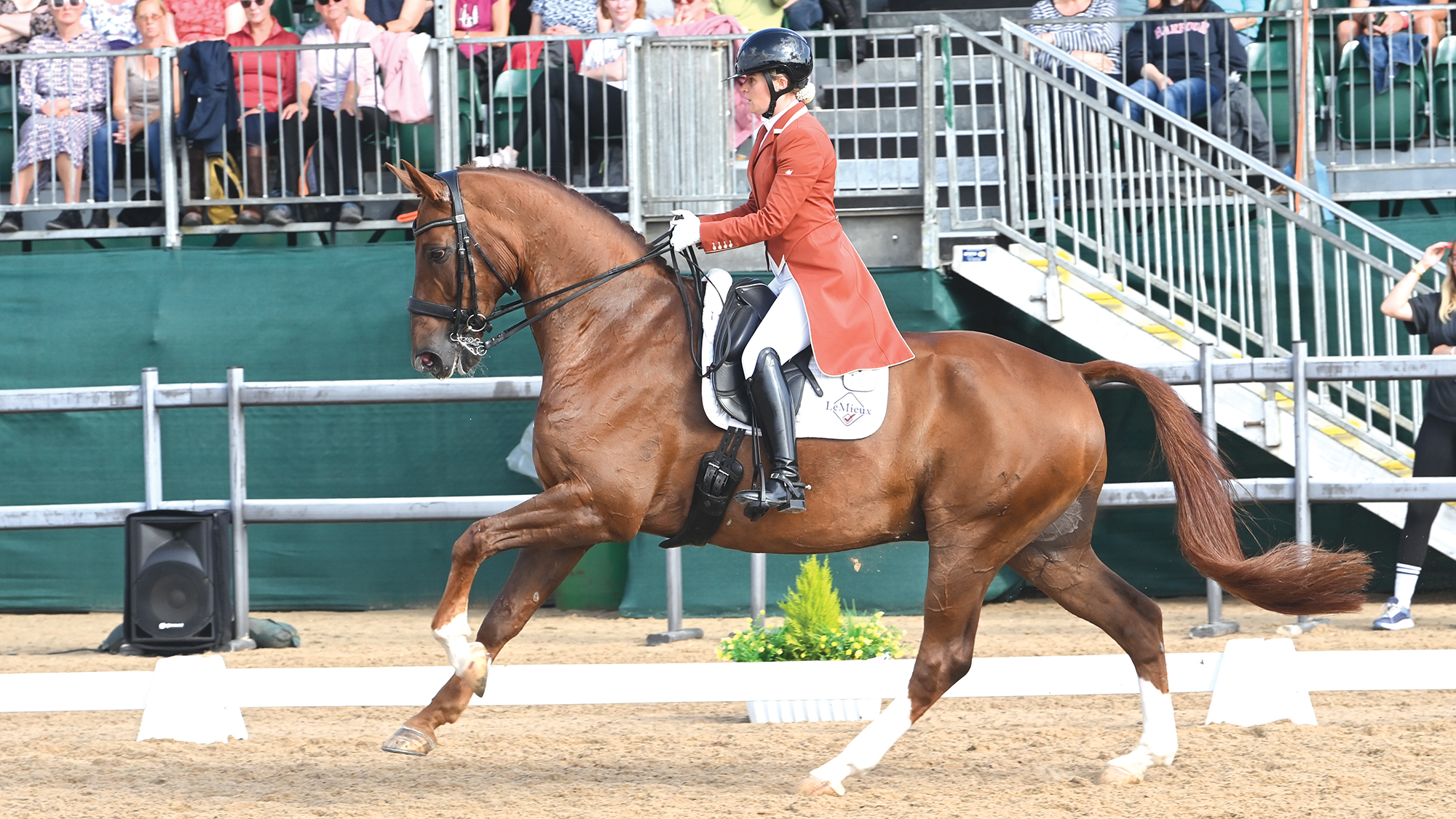 Anna Kasprzak Net Worth: ECCO Shoe Empire, Olympic Dressage Career, and Danish Heritage 3 Anna Kasprzak competing
