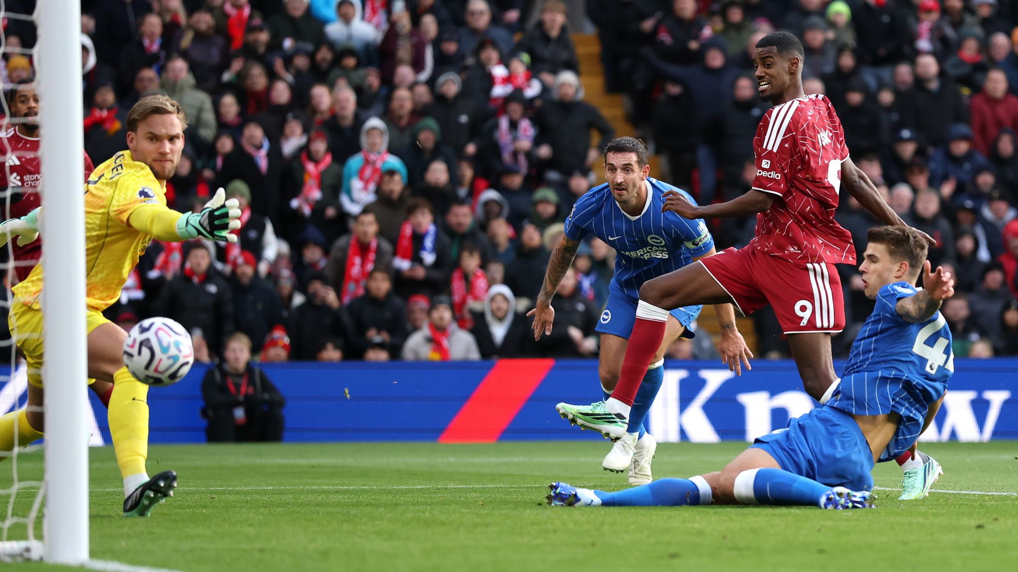 Liverpool vs Brighton
